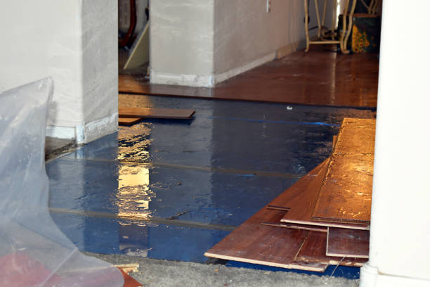 Professional Water Extraction technician working in West Unity, OH